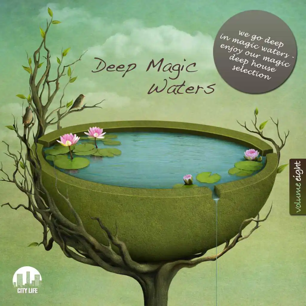 Deep Magic Waters, Vol. 8