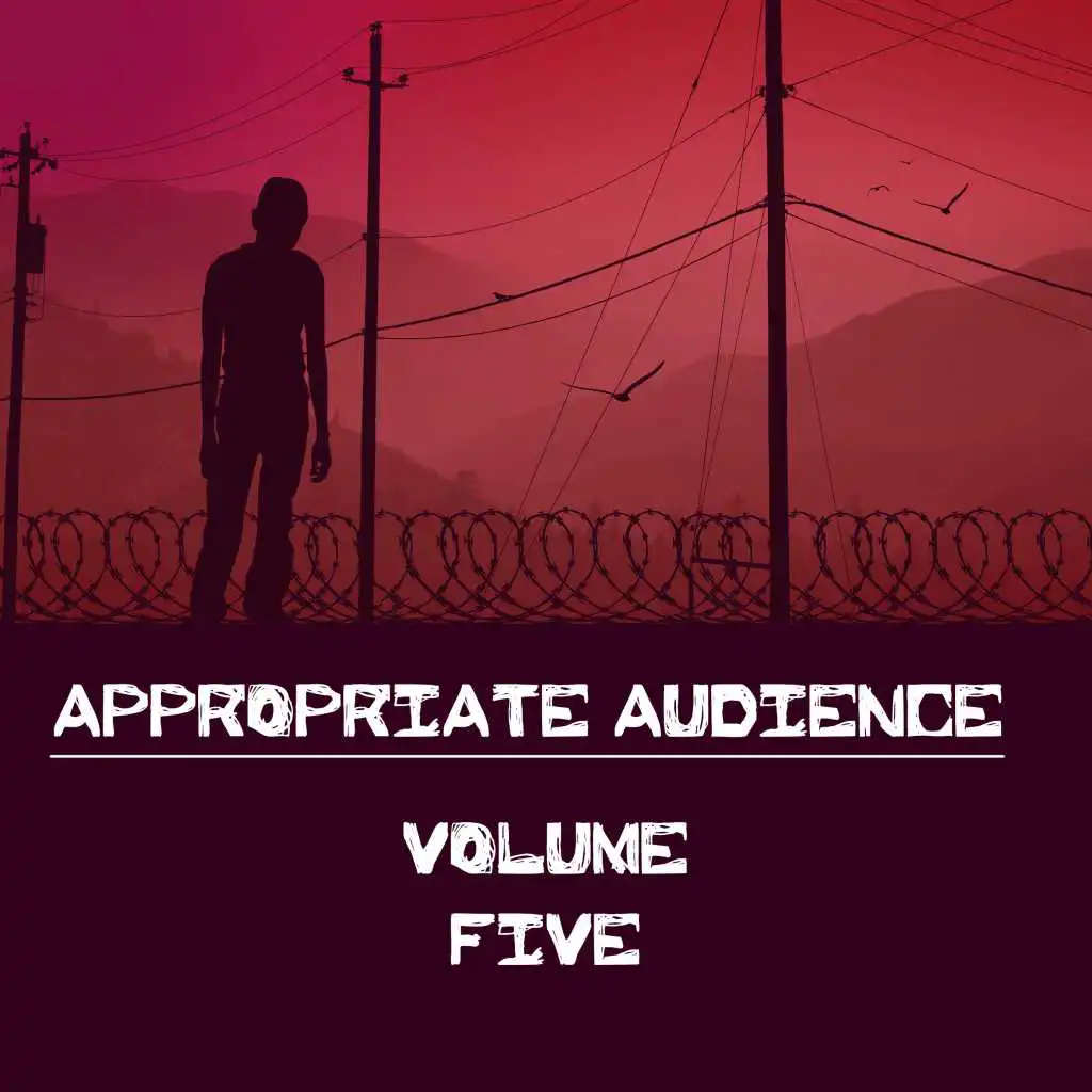 Appropriate Audience, Vol. 5