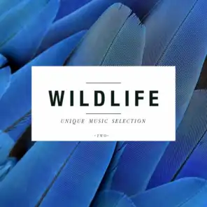 Wildlife - Unique Music Selection, Vol. 2