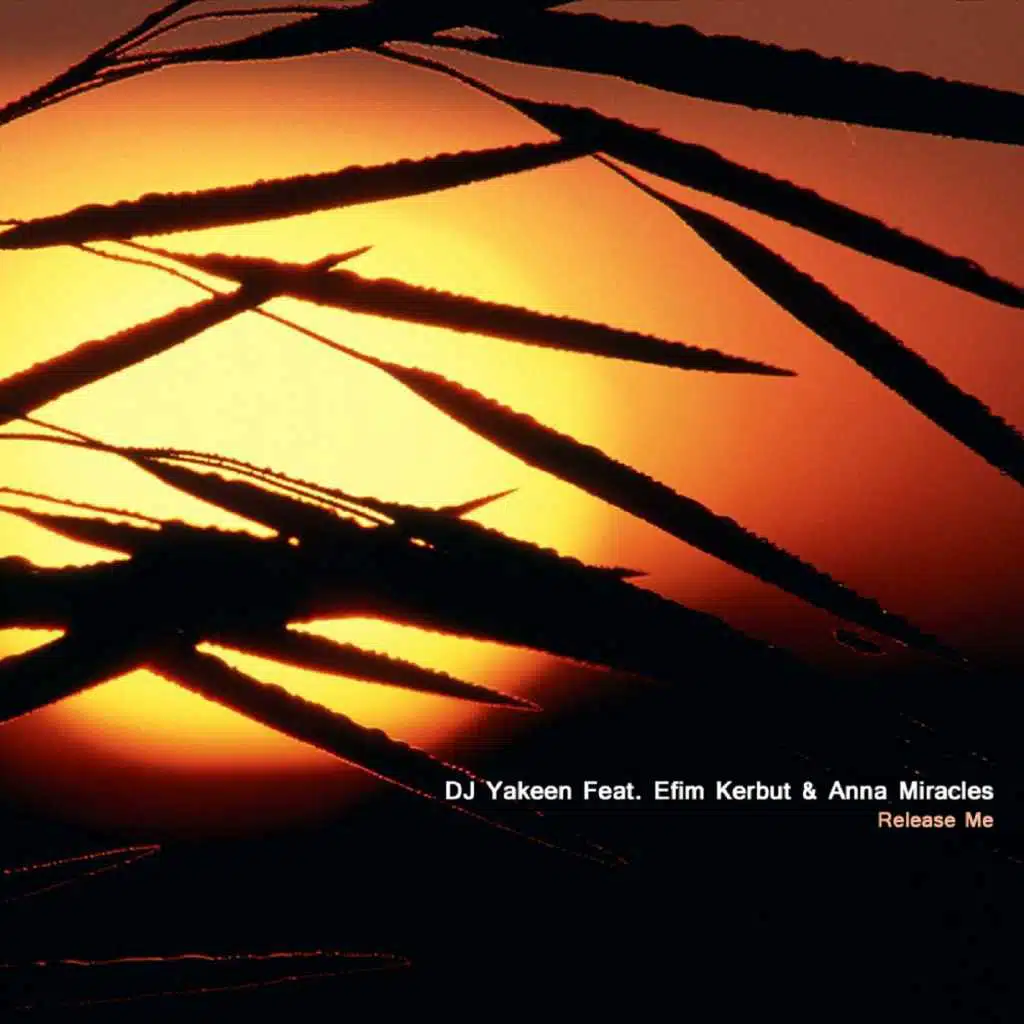 Release Me (feat. Efim Kerbut & Anna Miracles)