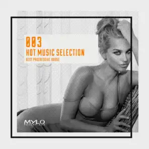Hot Music Selection, Vol. 3