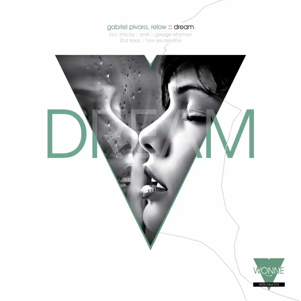 Dream (ANIÈ Remix)