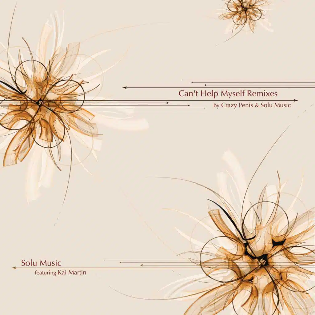 Can't Help Myself Remixes