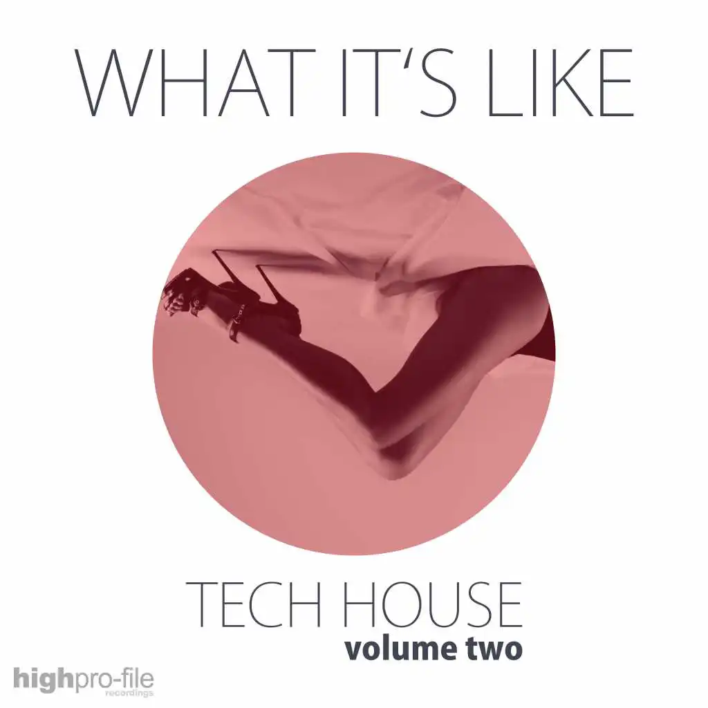 What It's Like - Tech House, Vol. 02