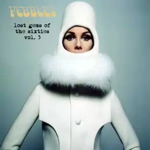 Pebbles - Lost Gems of the 60s Vol. 3