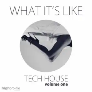 What It's Like - Tech House, Vol. 01