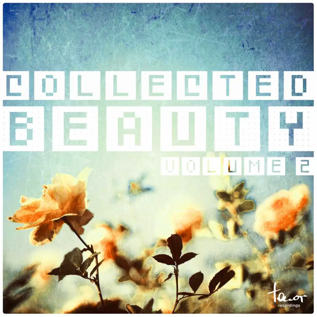 Collected Beauty, Vol. 2