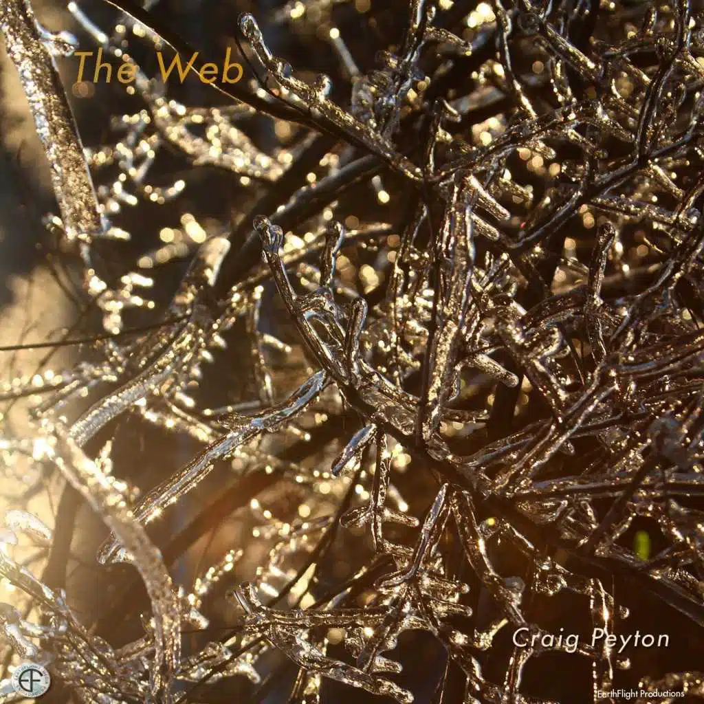 Lookin Back (feat. Mauricio Smith, Mauricio Smith Jr. & Marcelino)