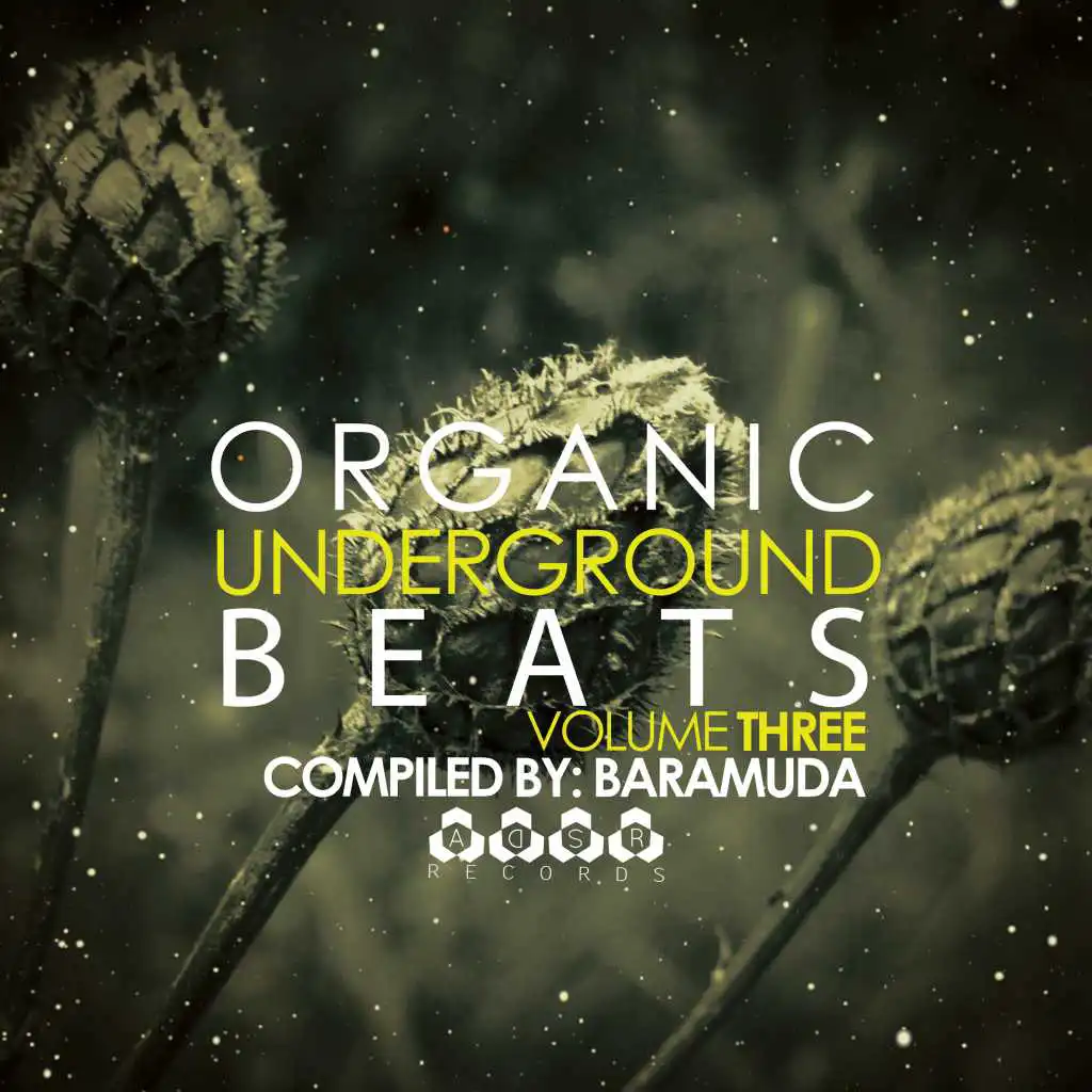 Organic Underground Beats, Vol. 3 - Compiled By Baramda