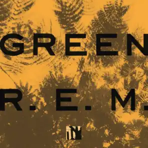 Green (25th Anniversary Deluxe Edition)