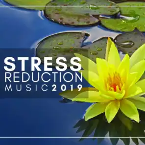 Stress Reduction Music