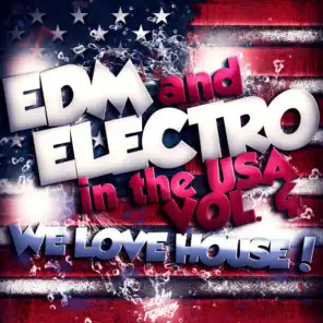 EDM and Electro in the USA, Vol. 4