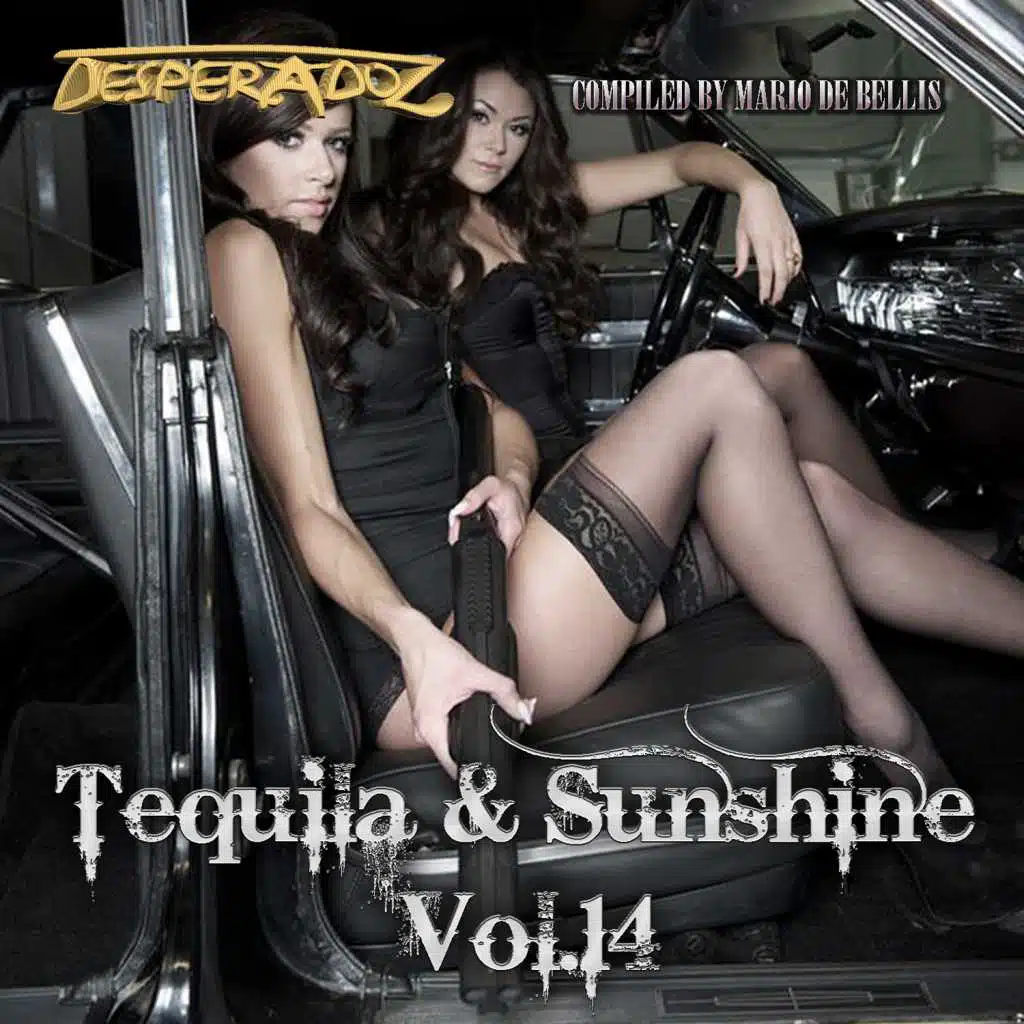 Tequila & Sunshine, Vol.14 (Compiled by Mario De Bellis)