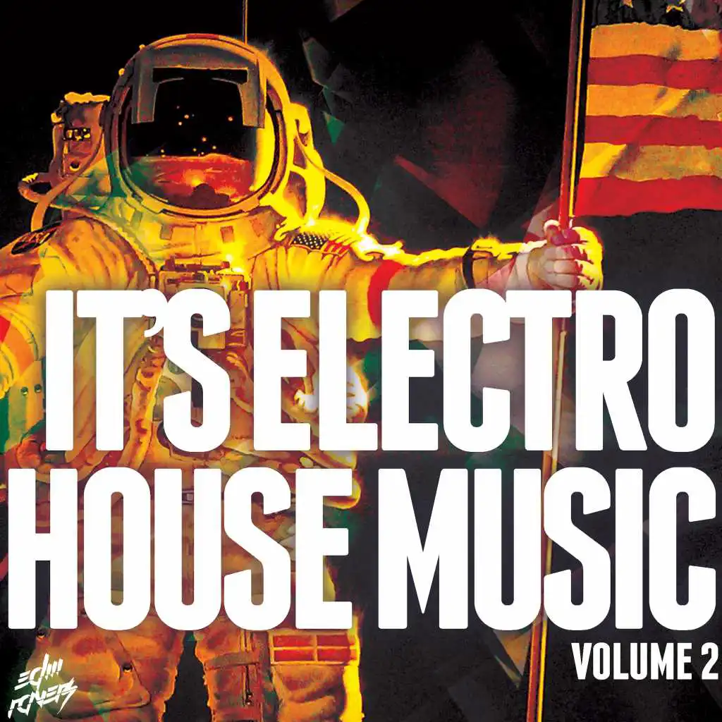 It's Electro-House Music, Vol. 2