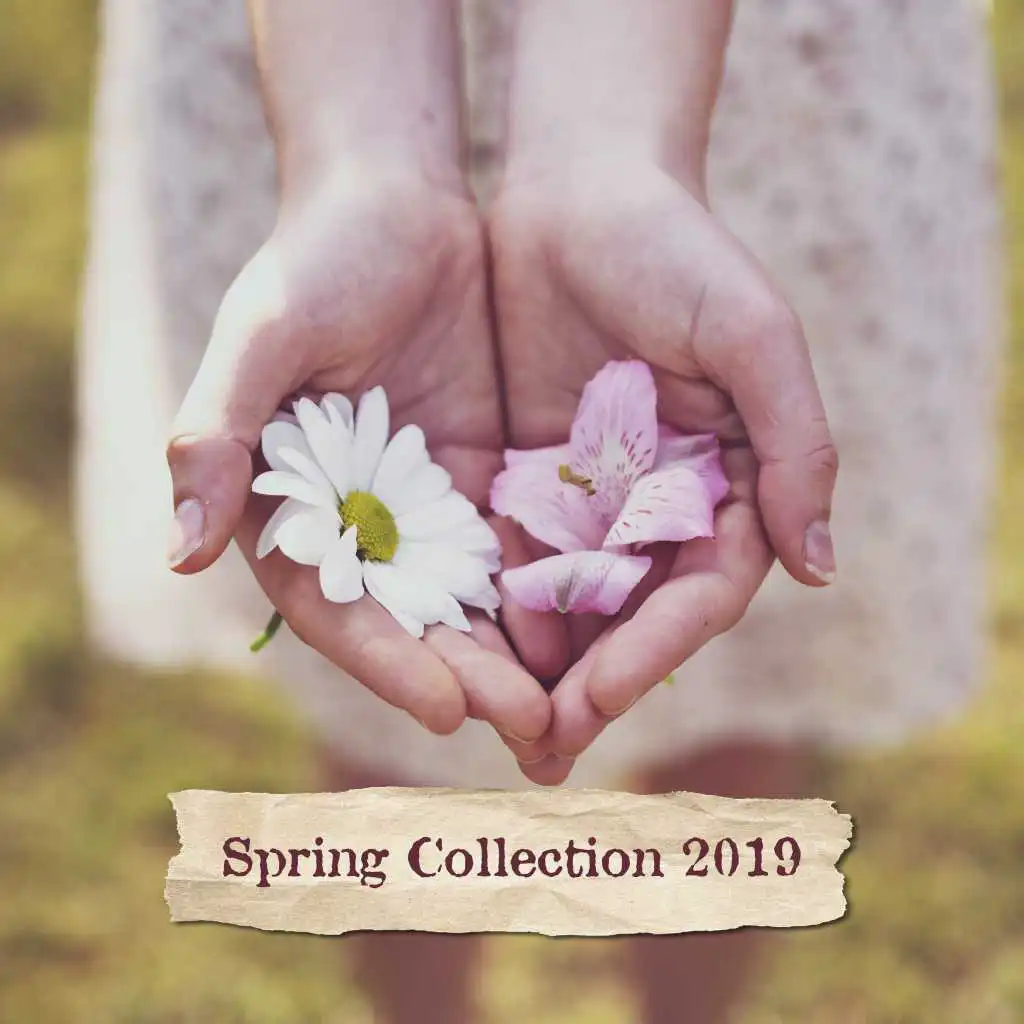 Spring Collection 2019 – Soft Melodies to Calm Down, Perfect Relax Zone, Smooth Chillout, Blissful Chillout Tracks