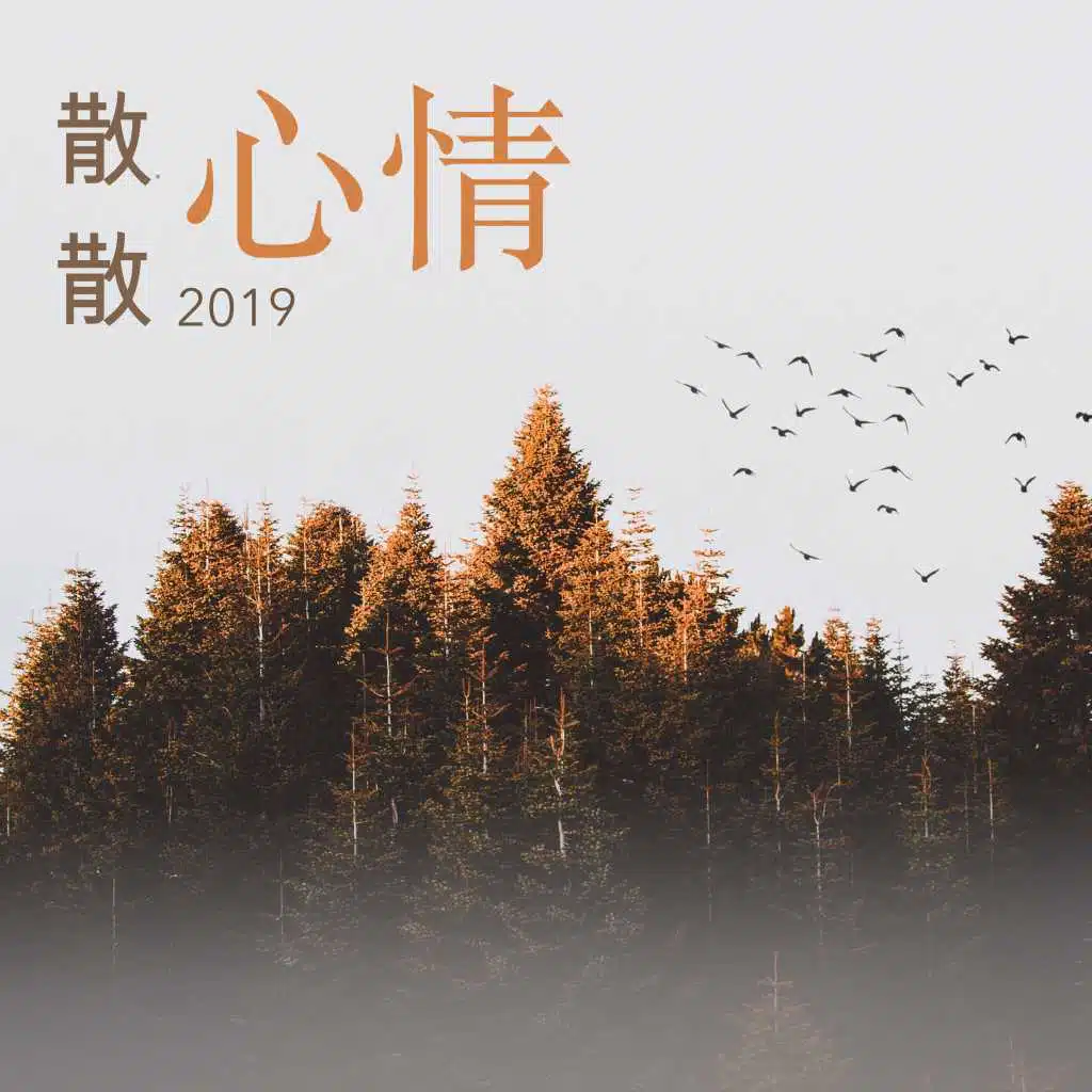 散散心情2019 - 最好听的轻音乐为了散散心情
