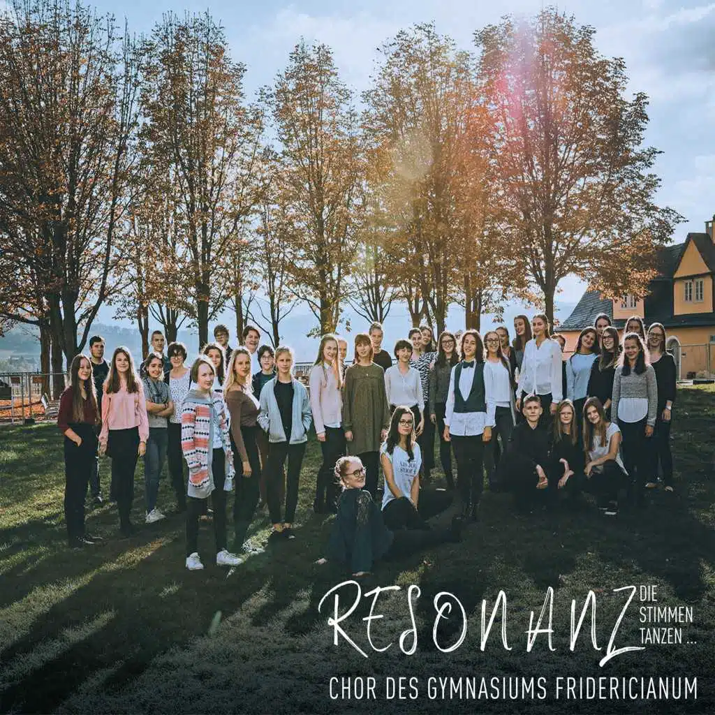 Resonanz - Die Stimmen Tanzen
