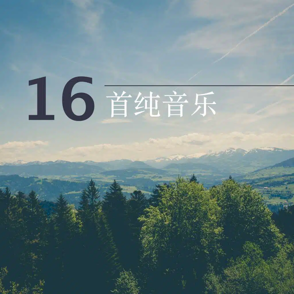 16首纯音乐 - 最好听的耳熟歌曲为了看书，学习，催眠和按摩