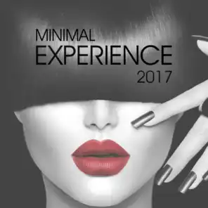 Minimal Experience 2017