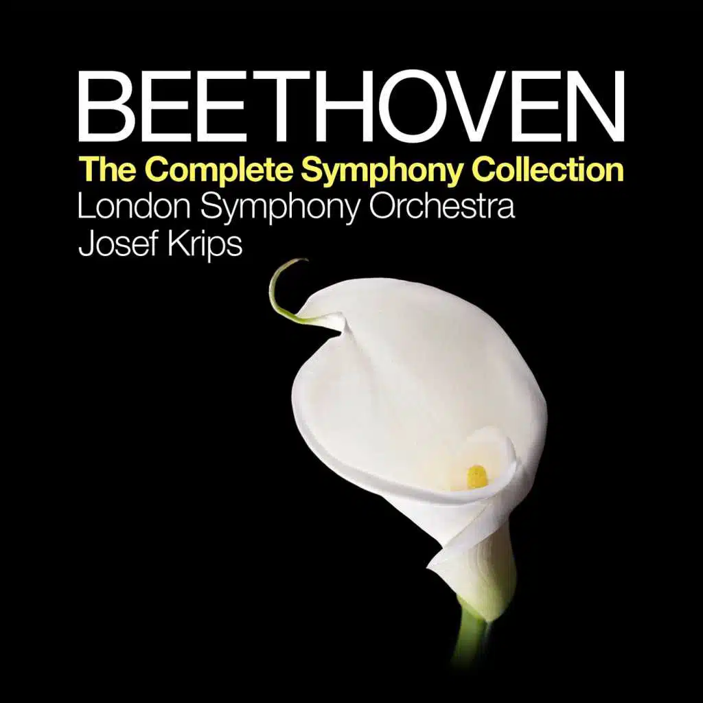 Symphony No. 2 in D Major, Op. 36: II. Larghetto