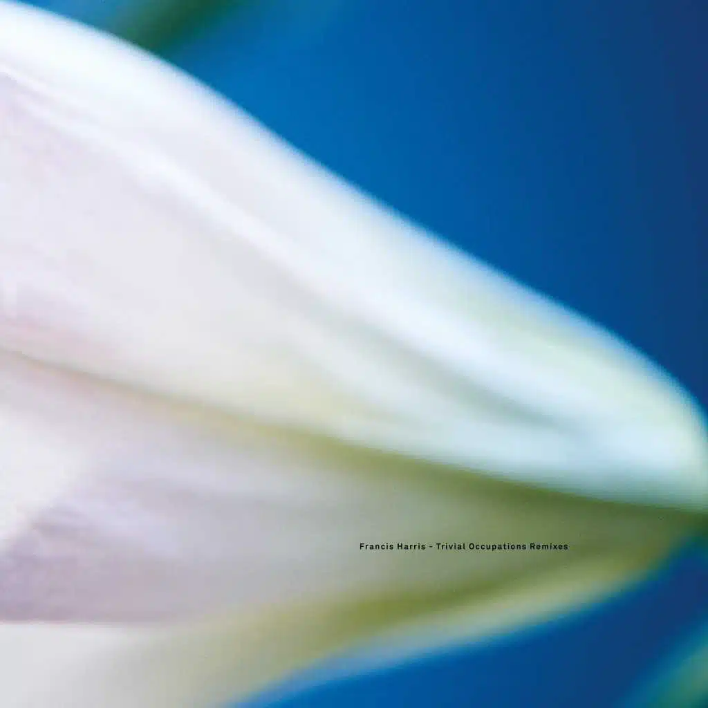 St. Catherine and the Calm (LNS Remix) [feat. Nadia Sparrow]