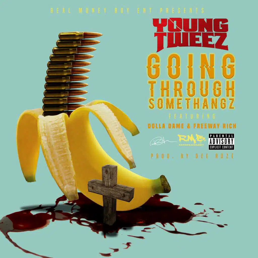 Goin Thru Somethangz (feat. Dolla Dame & Freeway Rich)