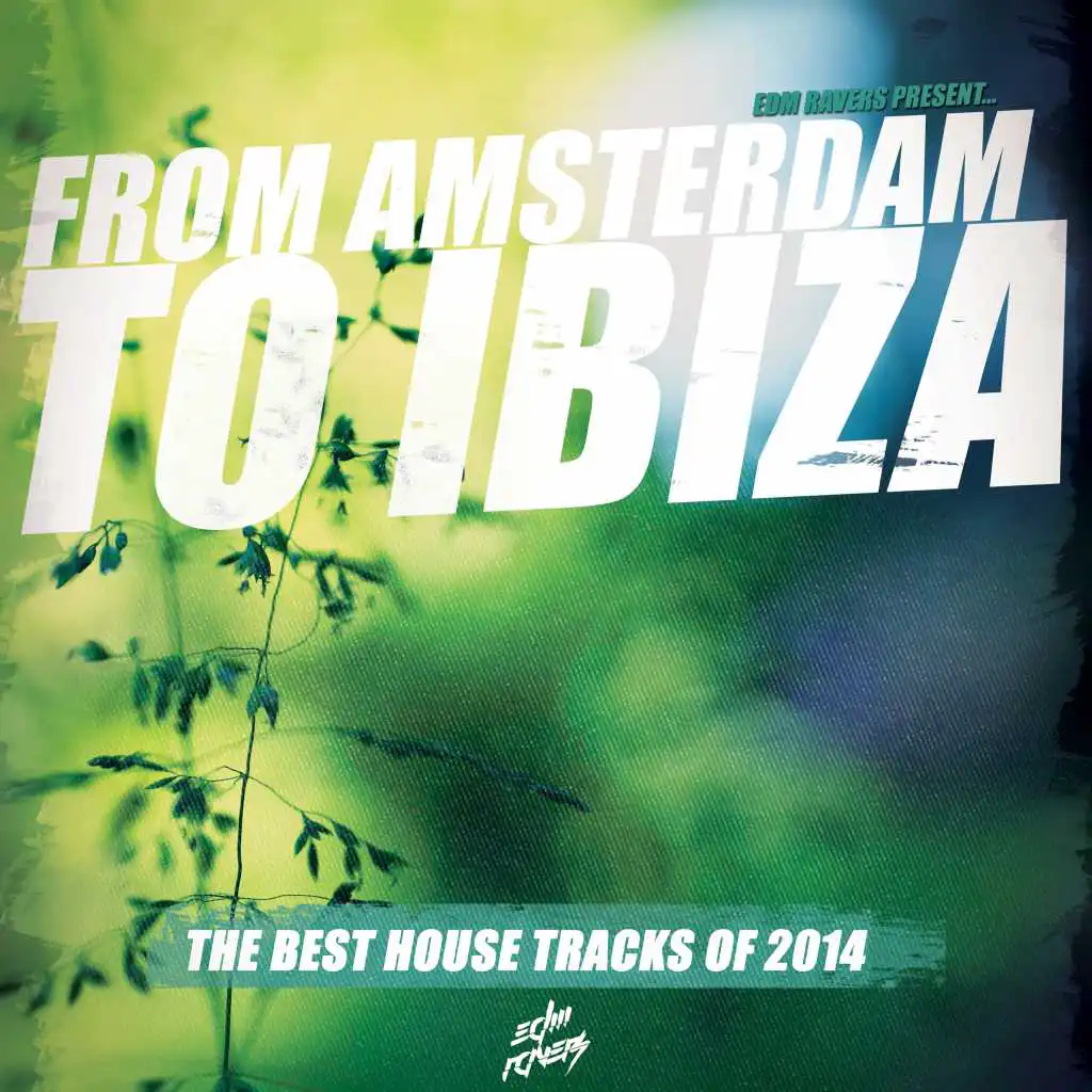 From Amsterdam to Ibiza