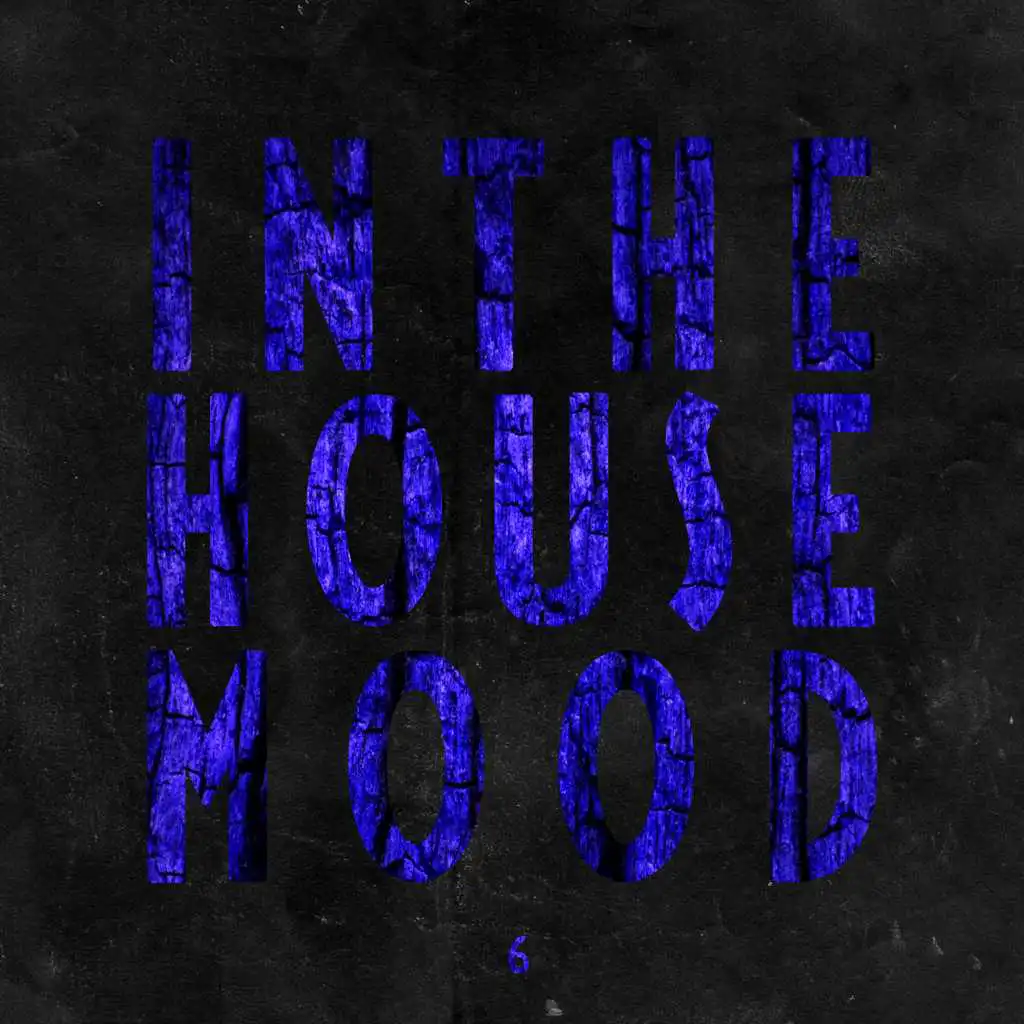 In the House Mood, Vol. 6