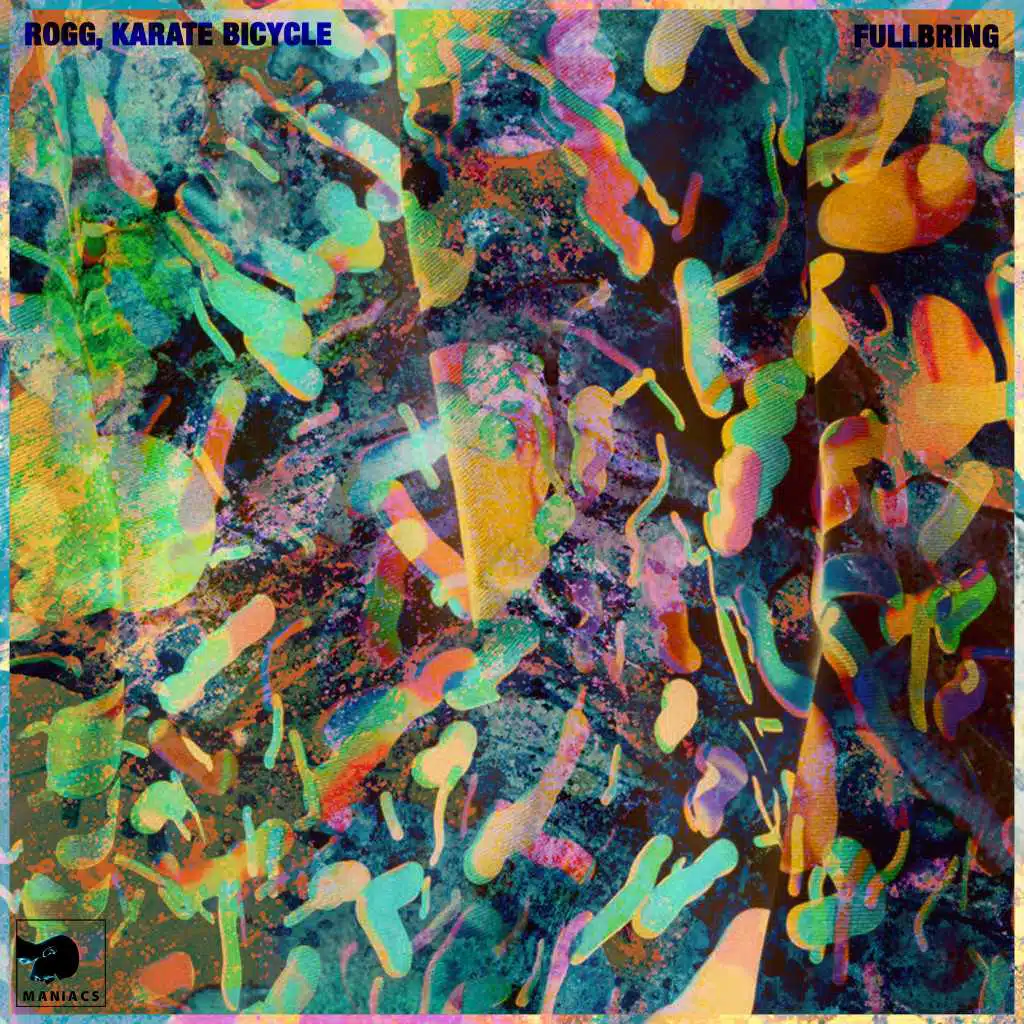 Rogg & Karate Bicycle