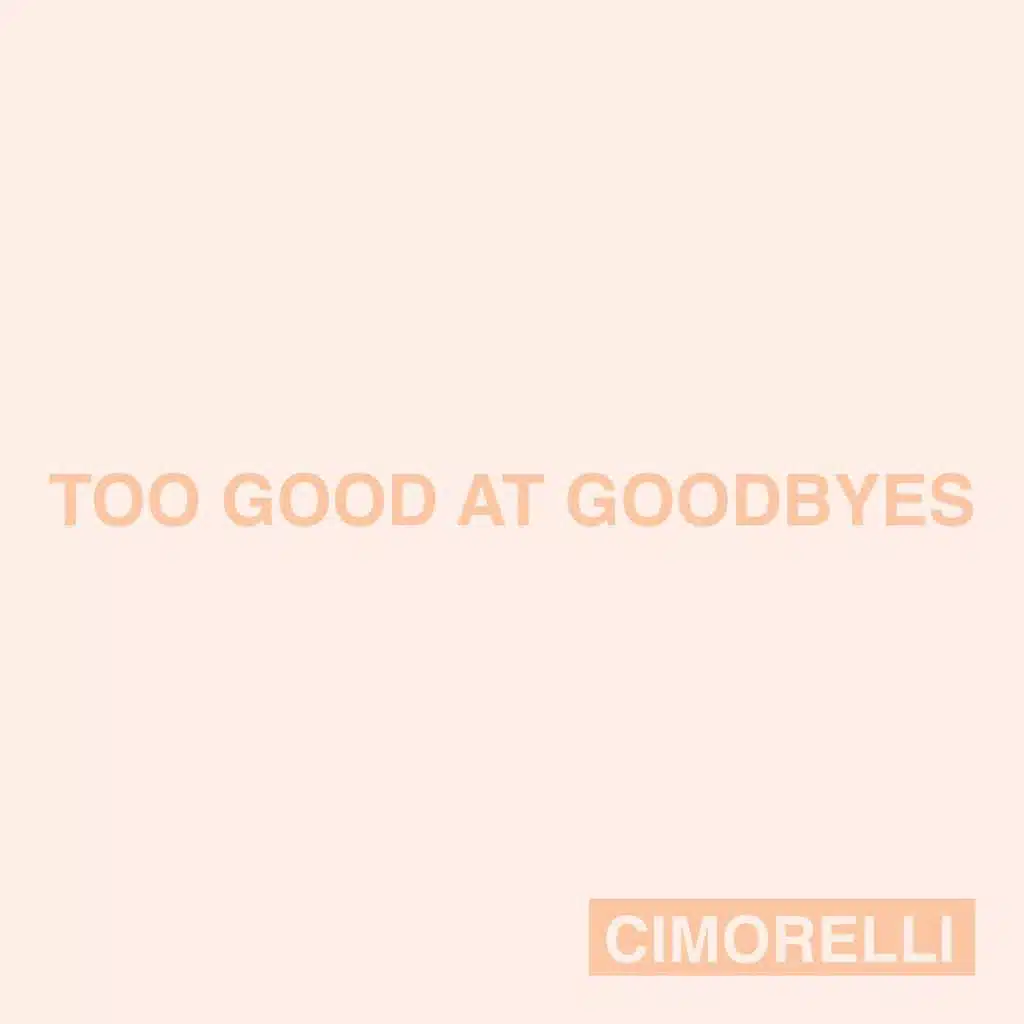 Too Good at Goodbyes