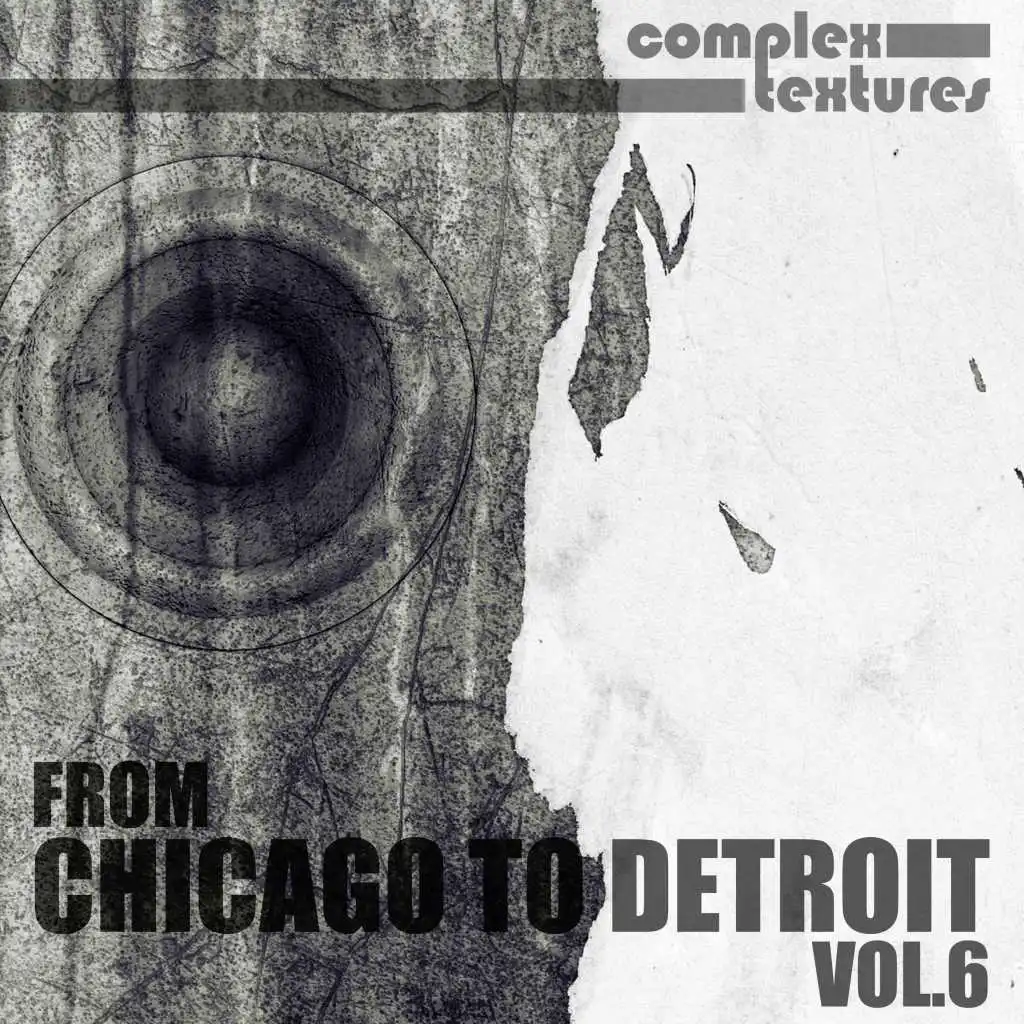 From Chicago to Detroit, Vol. 6