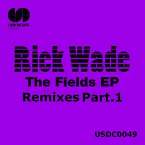 In the Fields (LOFTSOUL feat. T-ROY Brixton St. Remix)