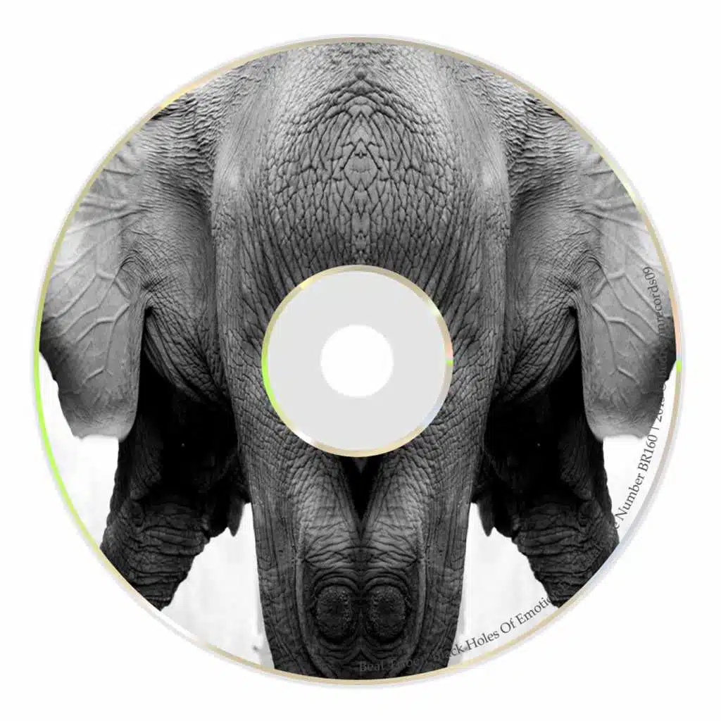 Black Holes of Emotion (Monstergetdown Remix)