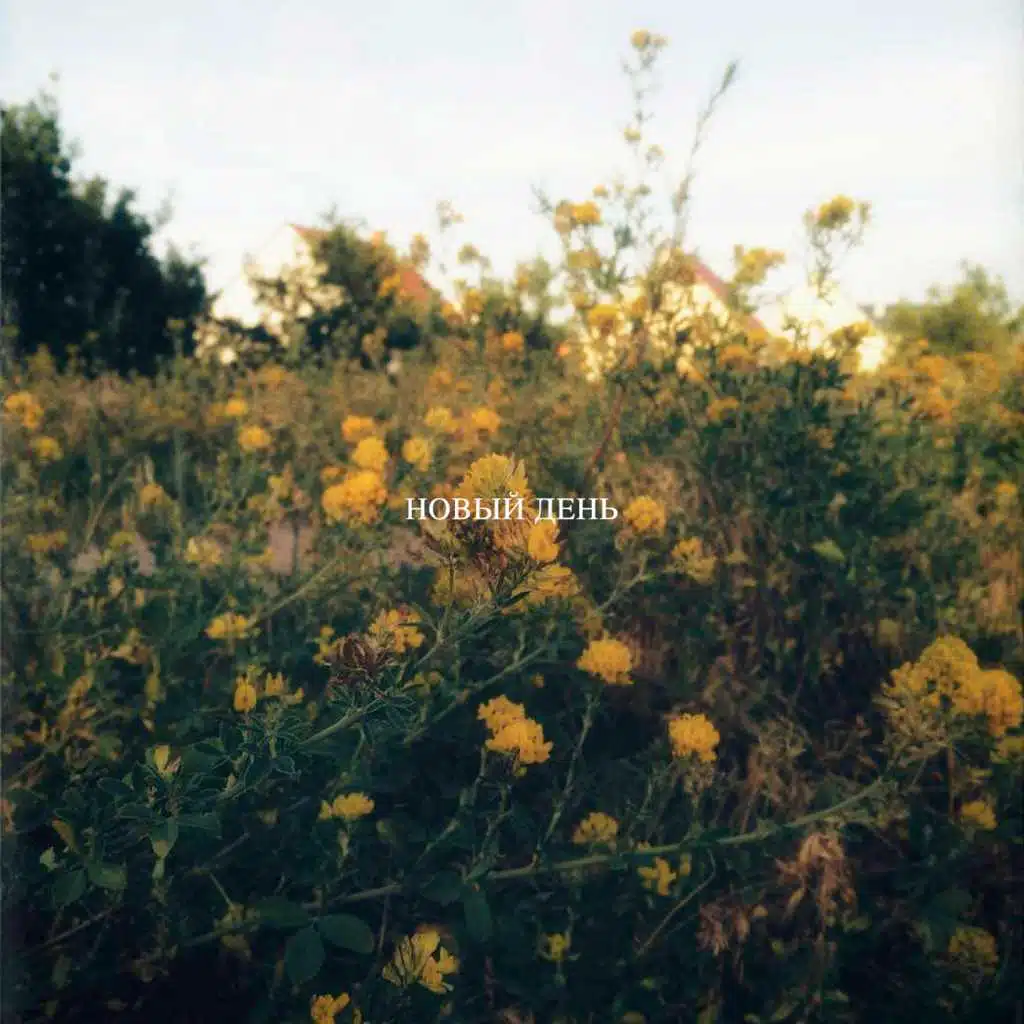 Новый день