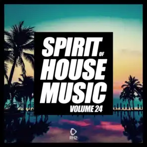 Spirit of House Music, Vol. 24