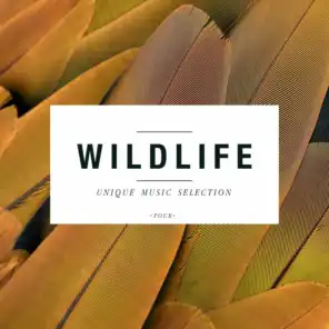 Wildlife - Unique Music Selection, Vol. 4