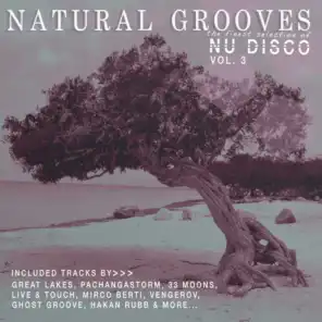 Natural Grooves Finest Selection of NU DISCO, Vol. 3