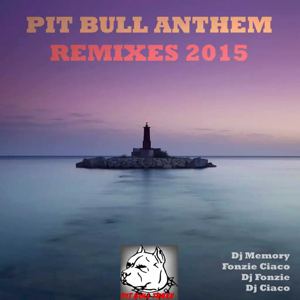 Pit Bull Anthem (Fonzie Ciaco Radio Edit) [feat. Fc]