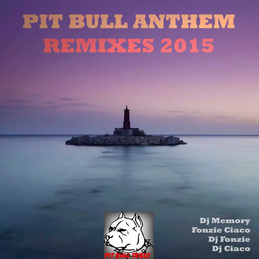 Pit Bull Anthem Remixes 2015