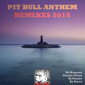 Pit Bull Anthem (DJ Fonzie Radio Edit)