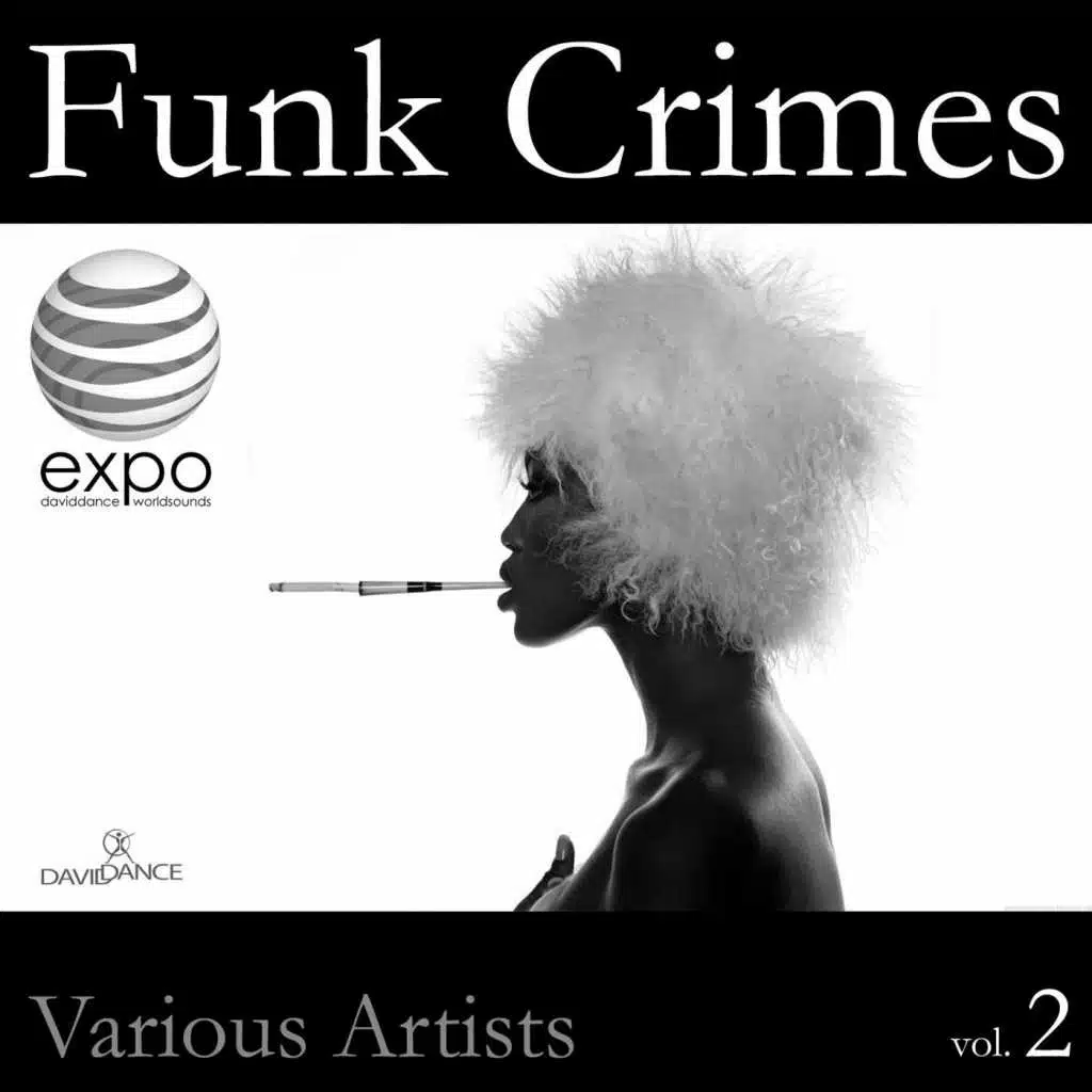 Funk Crimes 2