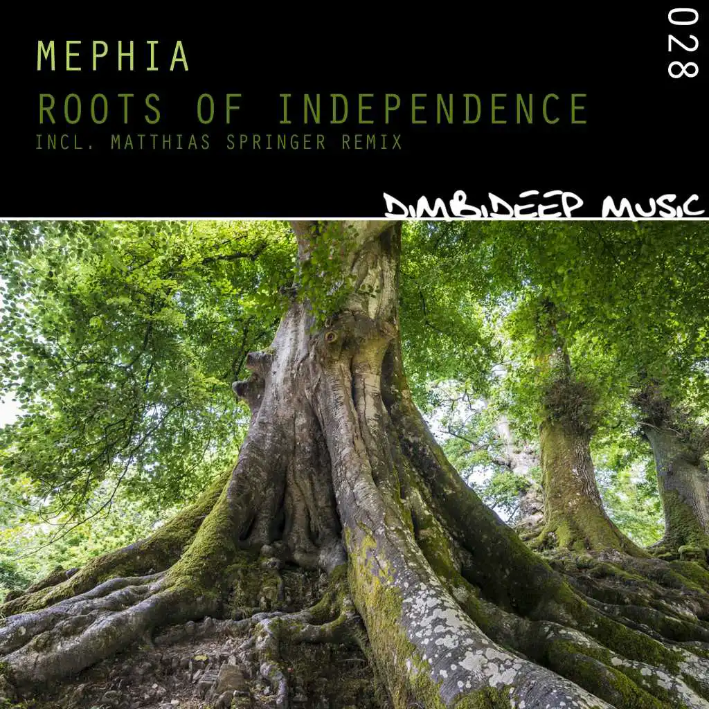 Roots of Independence (Instrumental)