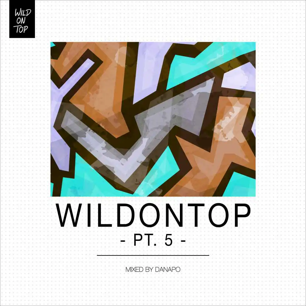 WildonTop, Pt. 5 - DJ Mix (Continuous DJ Mix)