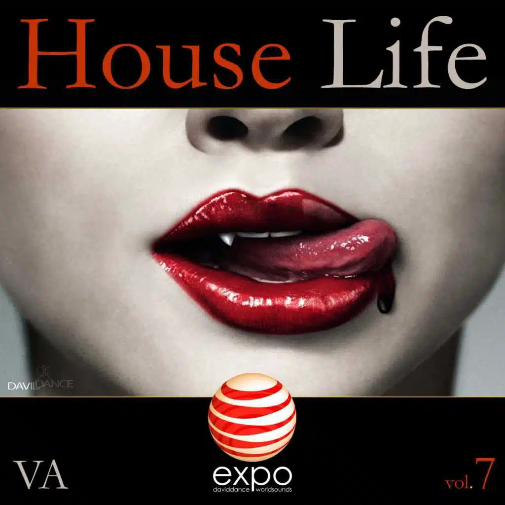 House Life, Vol. 7