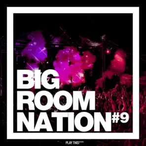 Big Room Nation, Vol. 9