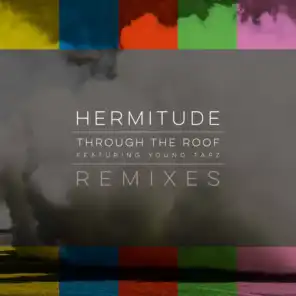 Through the Roof (Remixes)
