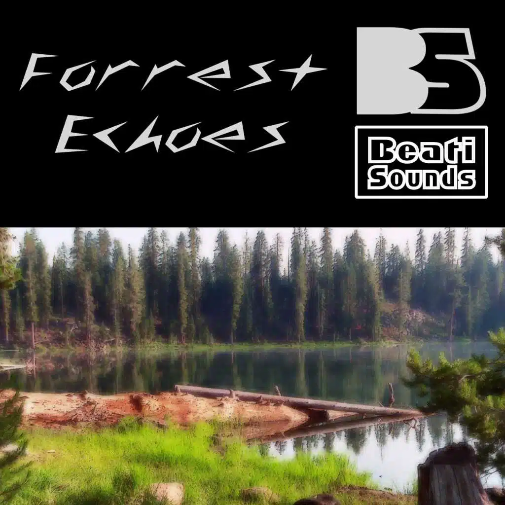 Forrest Echoes