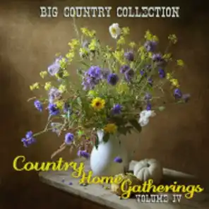Big Country Collection: Country Home Gatherings, Vol. 4