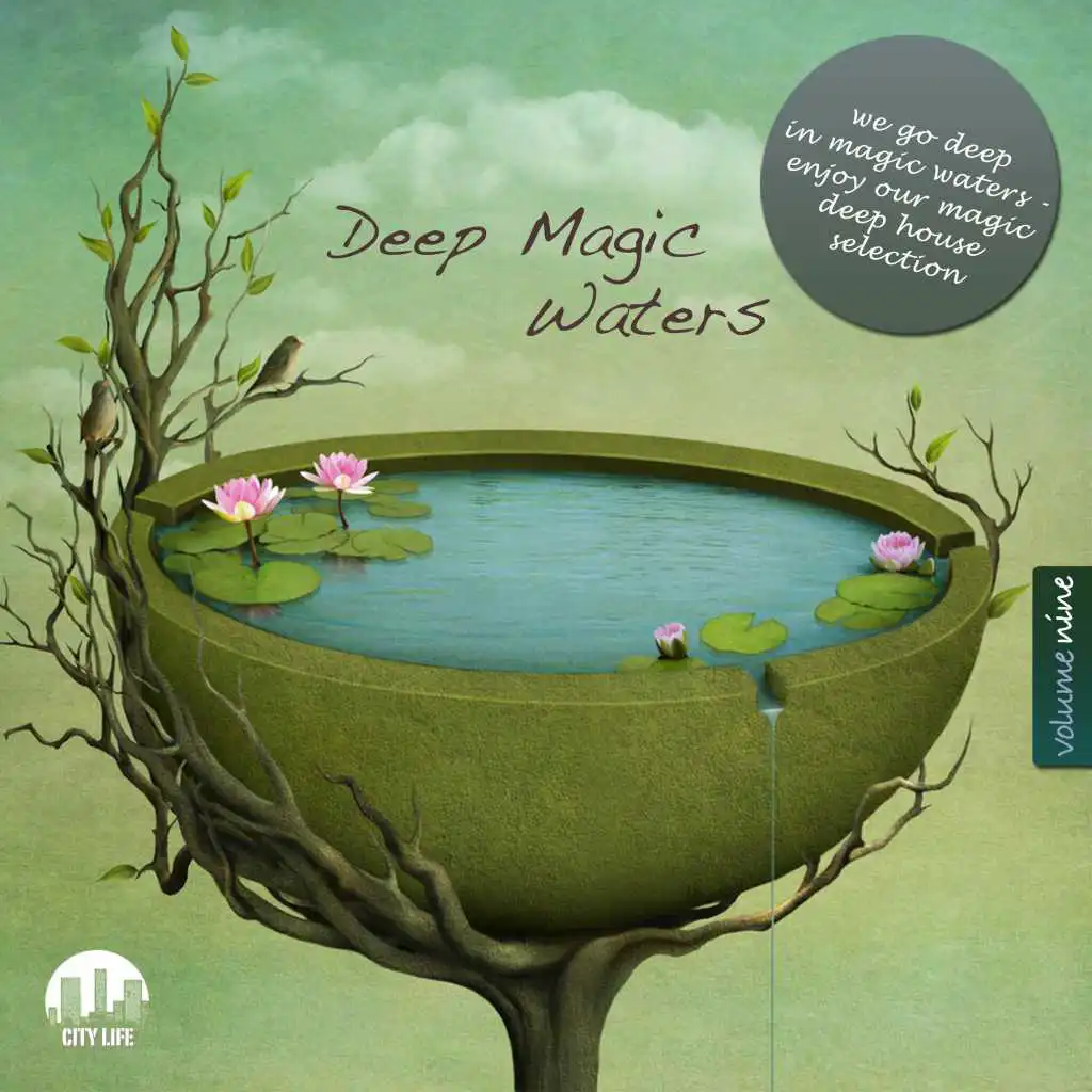 Deep Magic Waters, Vol. 9