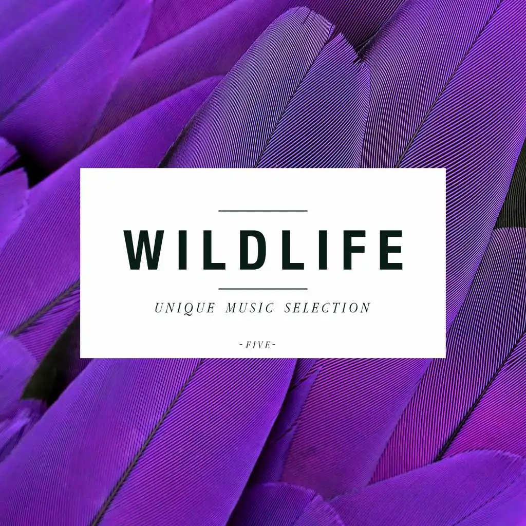 Wildlife - Unique Music Selection, Vol. 5